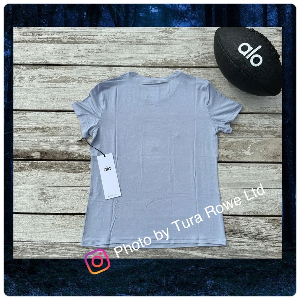 ALO All Day Short Sleeve tee winter‎ frost NWT SIZE Small